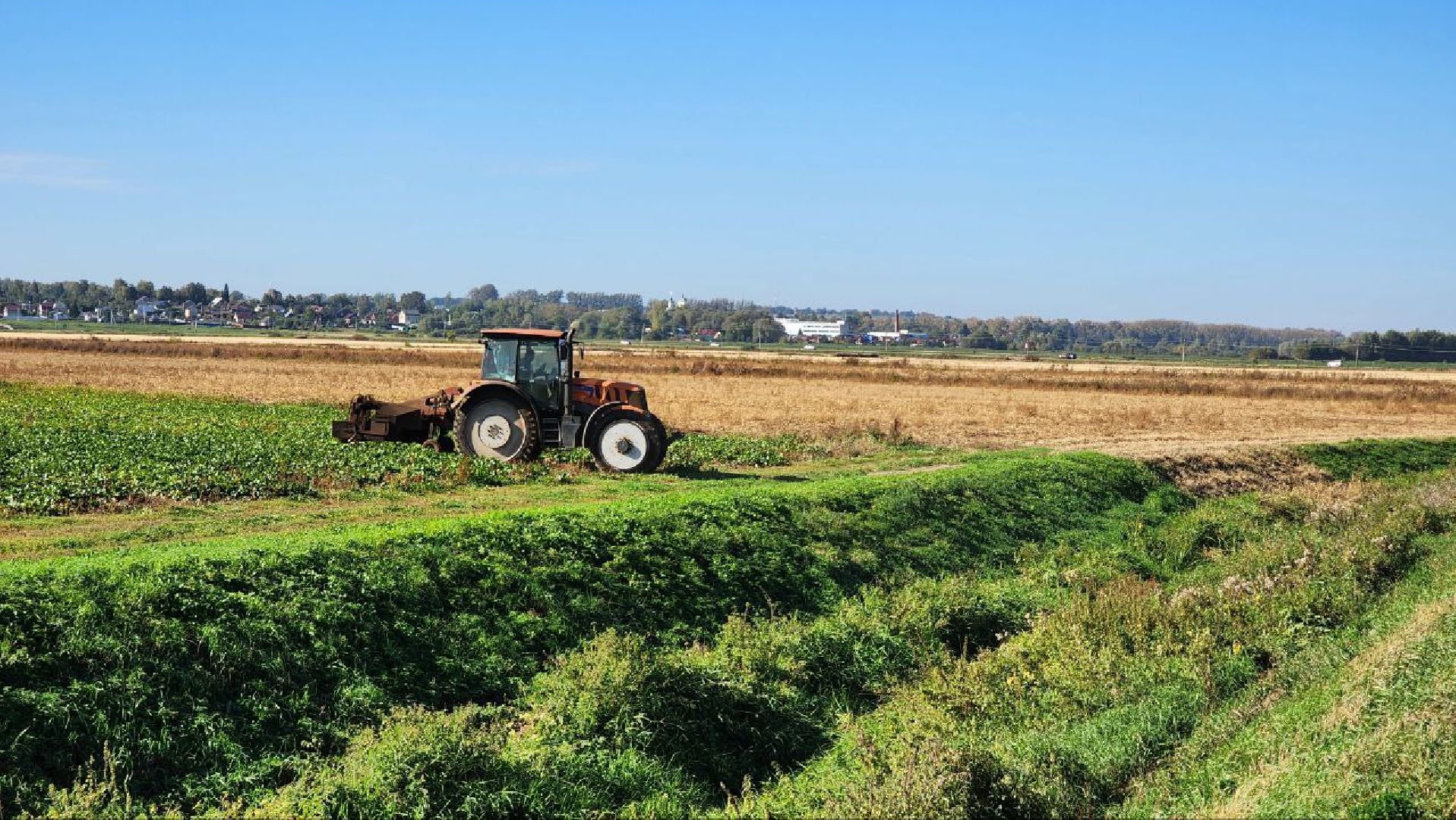 Дмитров, Уборочная кампания, Мосагрофуд, Минсельхоз,