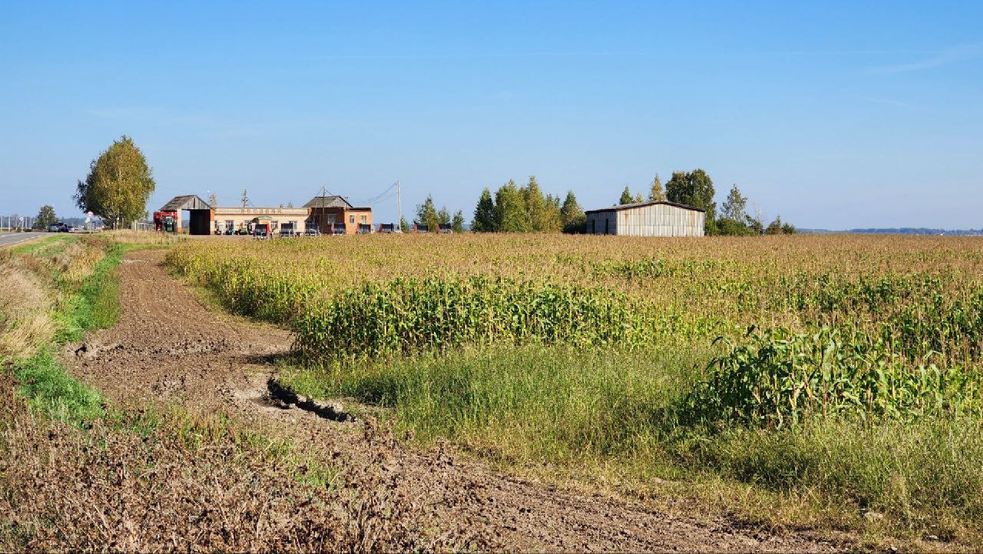 Дмитров, Уборочная кампания, Мосагрофуд, Минсельхоз,