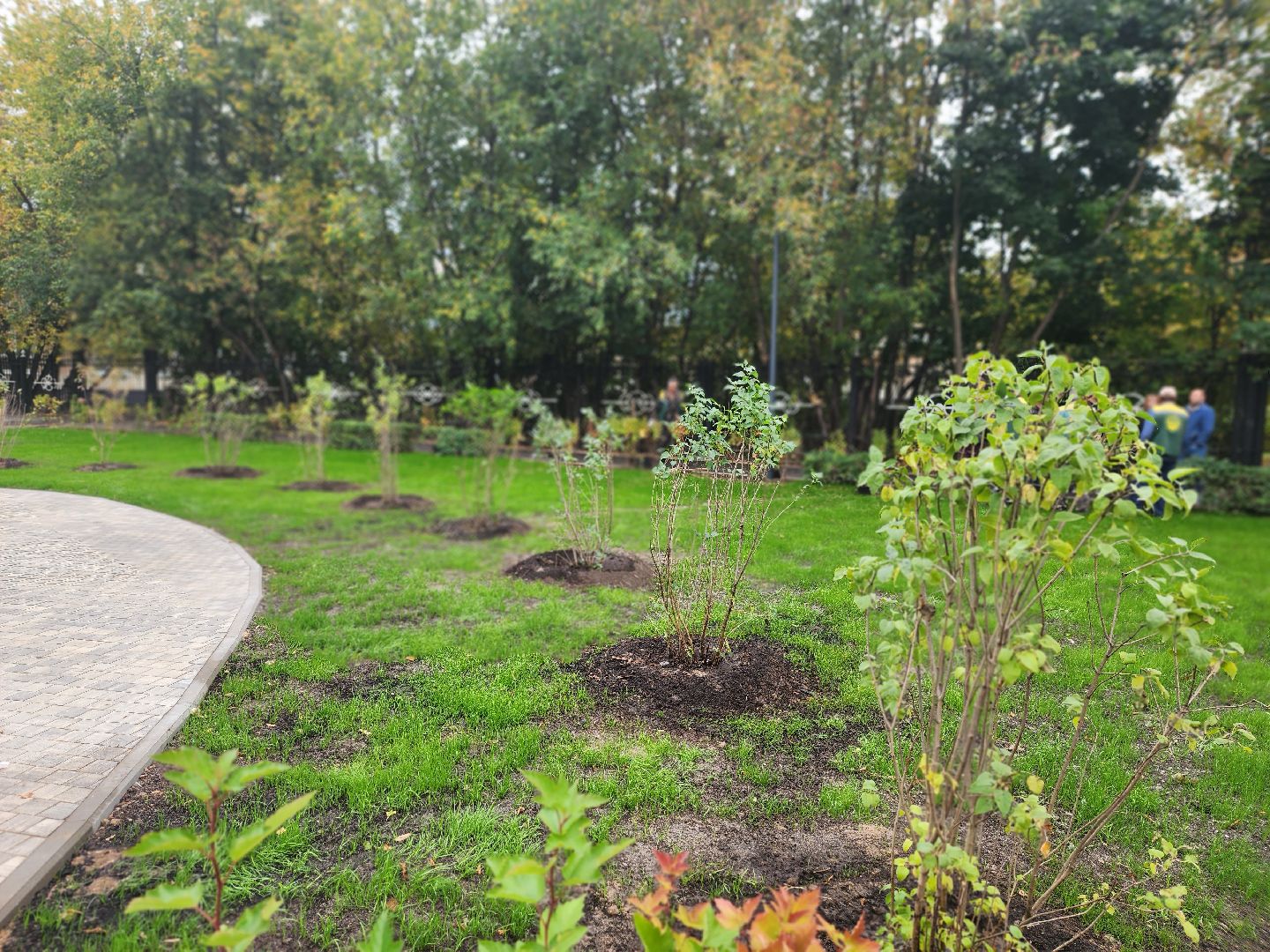 королёв, благоустройство сквера имени чмыреваив королеве, администрация городского округа королев , губернатор московской области,