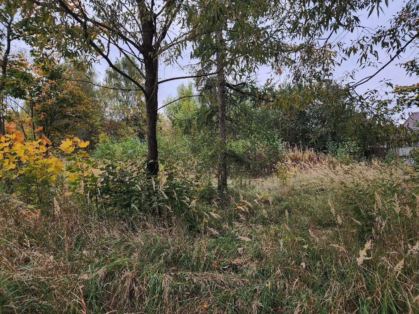 выездная администиация, одинцовский городской округ, большие вязёмы,