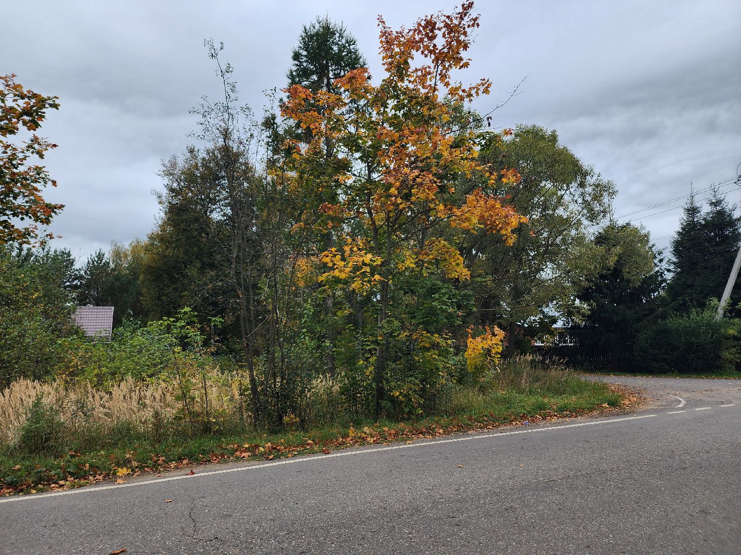 выездная администиация, одинцовский городской округ, большие вязёмы,
