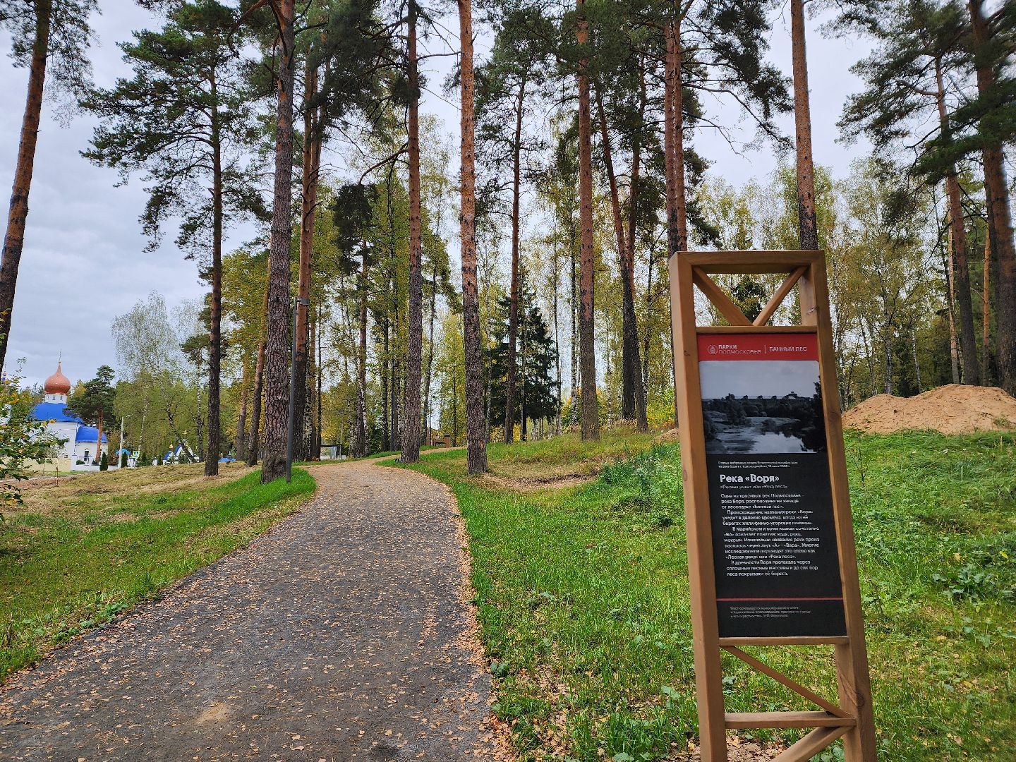 красноармейск, городской округ пушкинский, банный лес, лесопарк, белка, парки подмосковья,
