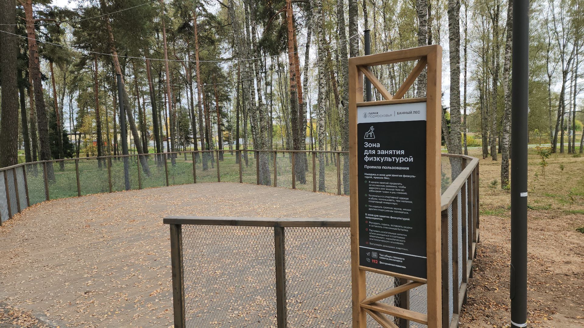 красноармейск, городской округ пушкинский, банный лес, лесопарк, белка, парки подмосковья,