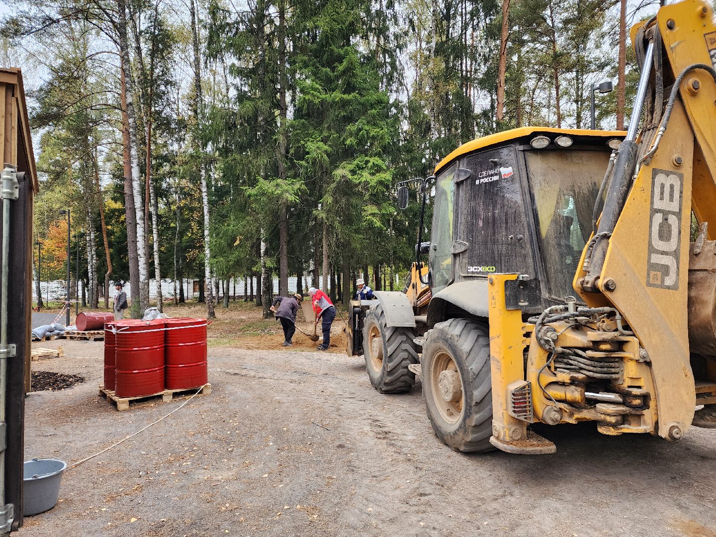 красноармейск, городской округ пушкинский, банный лес, лесопарк, белка, парки подмосковья,