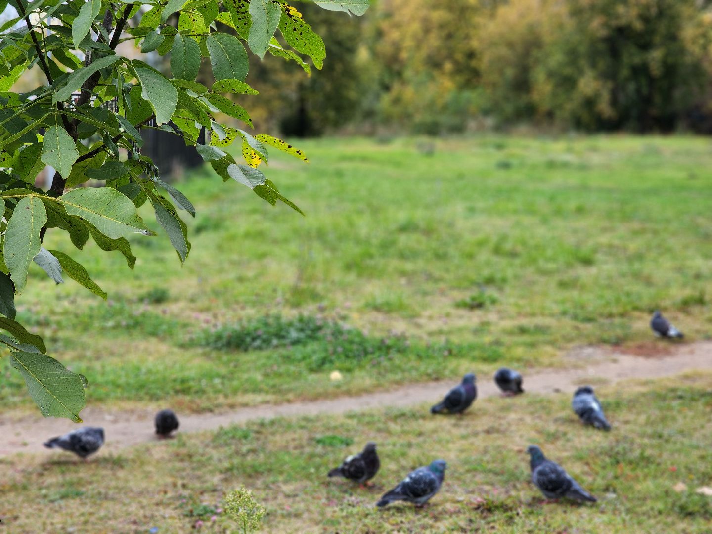 выездная администрация, прием жителей, обращения жителей, старая купавна, богородский городской округ,
