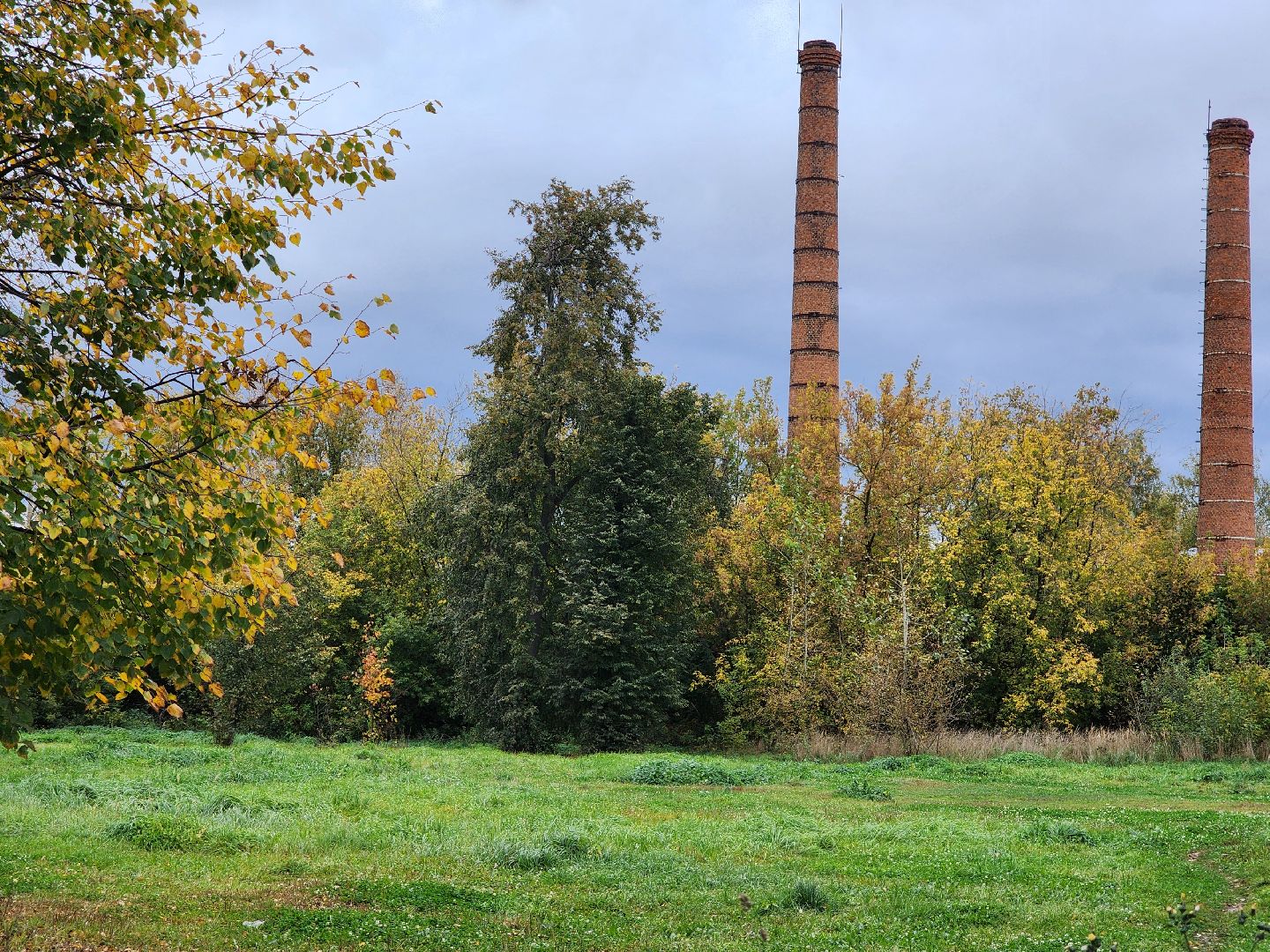 выездная администрация, прием жителей, обращения жителей, старая купавна, богородский городской округ,