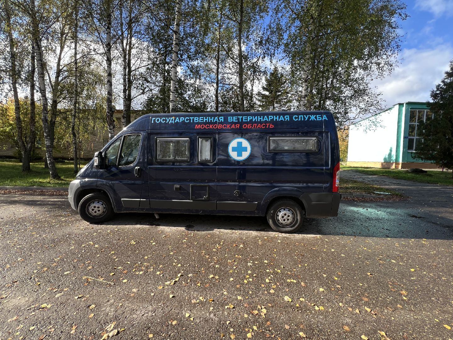 Запрудня, талдомский городской округ, Прививки от бешенства Талдом , Собаки и кошки , Бешенство прививки,