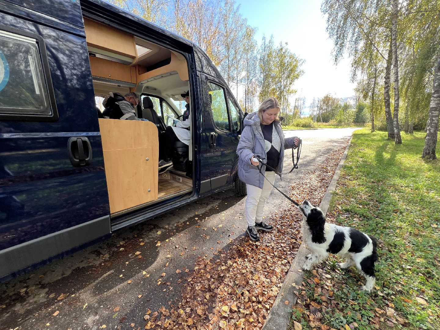 Запрудня, талдомский городской округ, Прививки от бешенства Талдом , Собаки и кошки , Бешенство прививки,