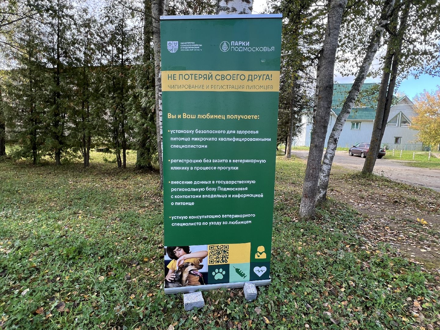 Запрудня, талдомский городской округ, Прививки от бешенства Талдом , Собаки и кошки , Бешенство прививки,