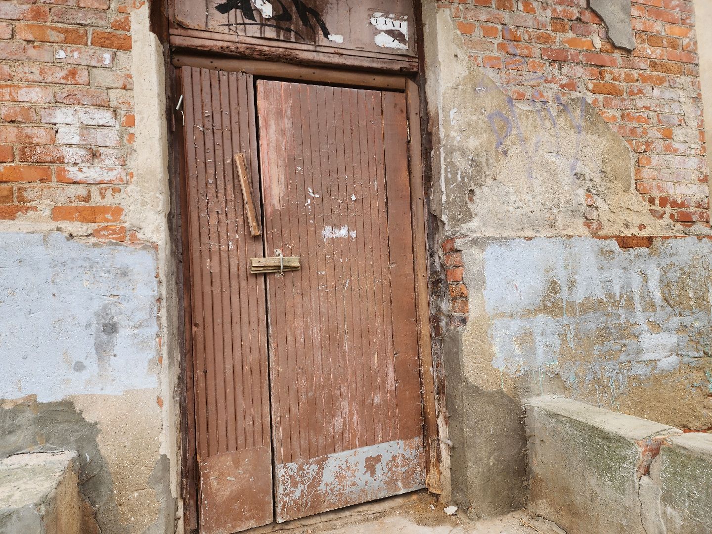 красноармейск, городской округ пушкинский, спасение бездомных животных, зооволонтеры,кошки,