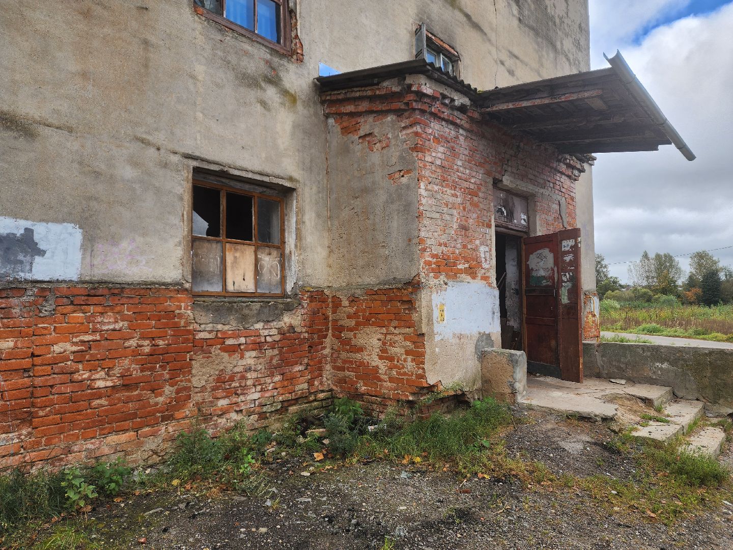 красноармейск, городской округ пушкинский, спасение бездомных животных, зооволонтеры,кошки,