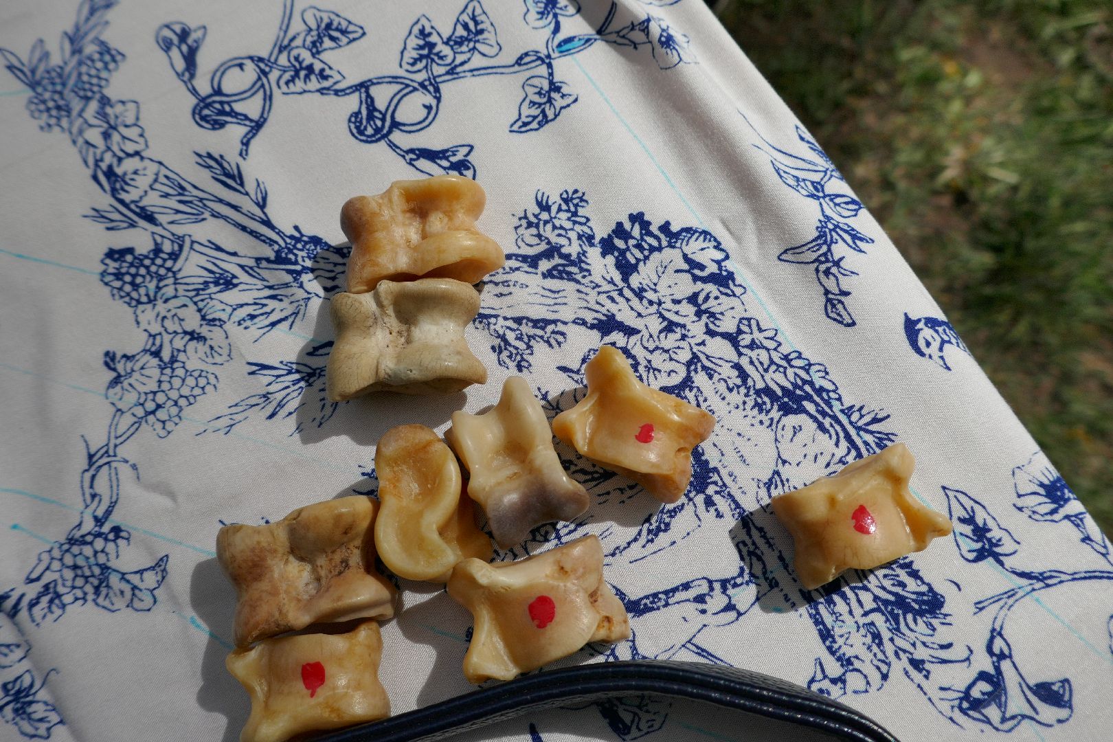 Подольск, спорт, буряты, игра