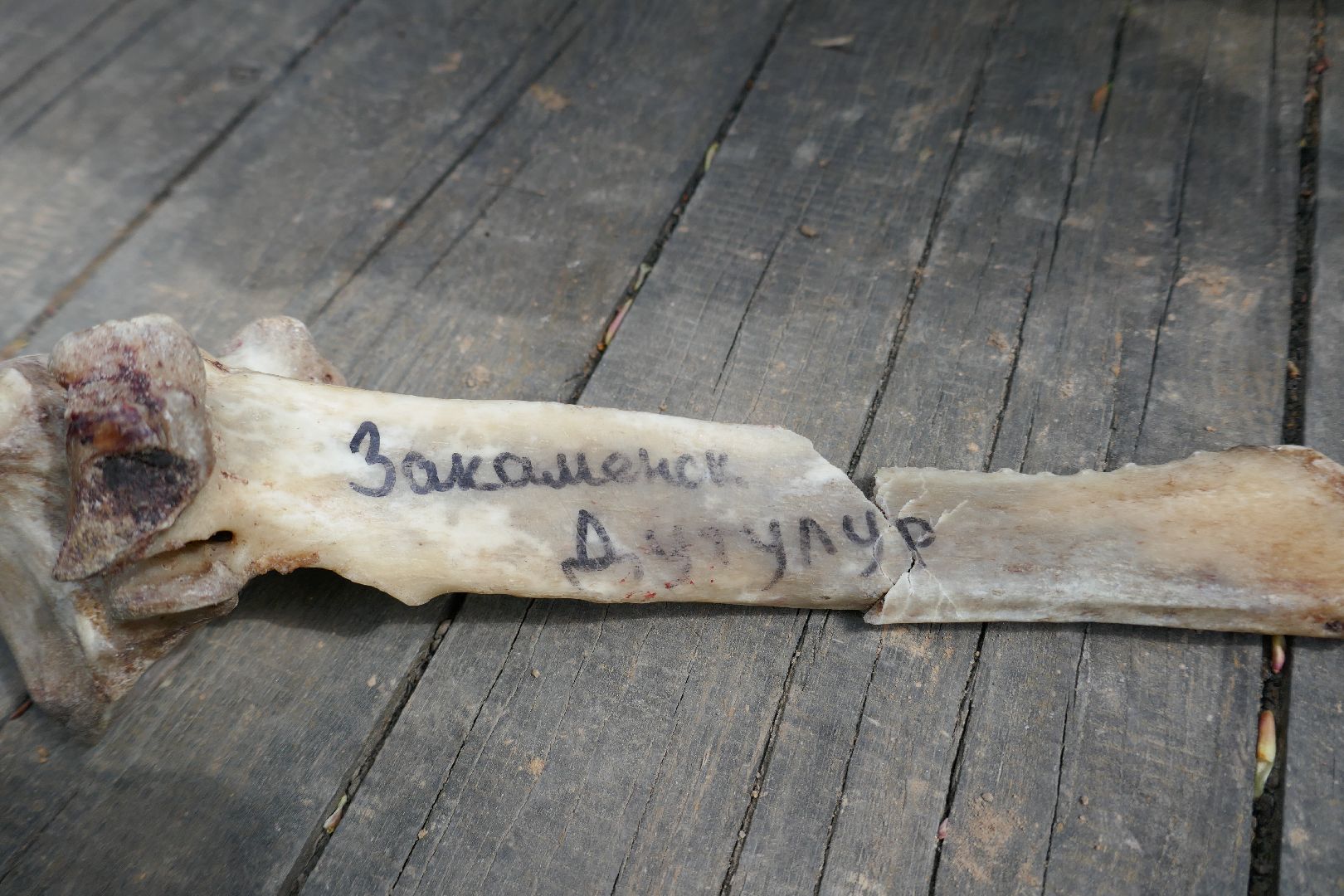 Подольск, спорт, буряты, игра