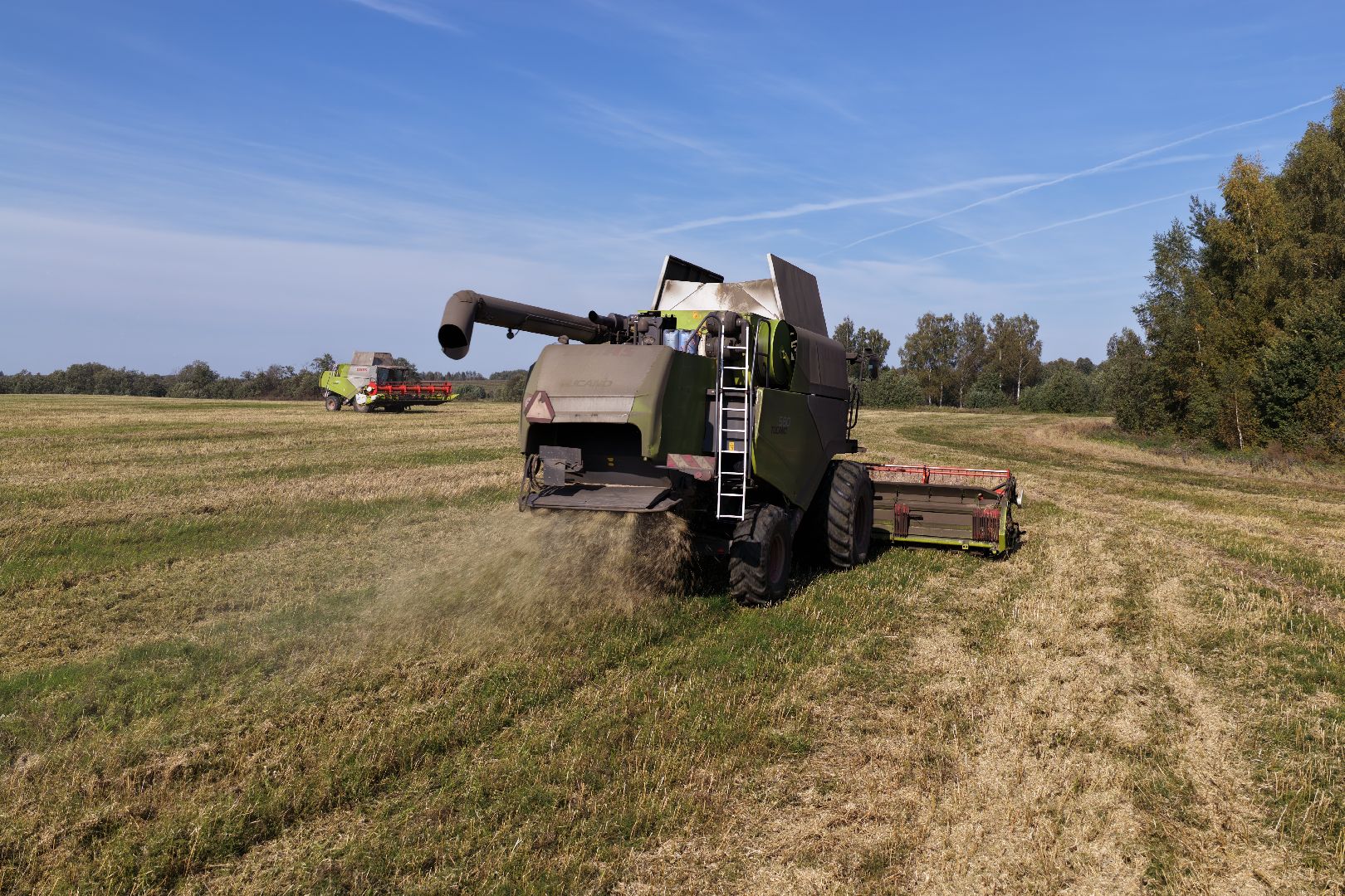 видео с коптера, сбор рапса, урожай 2025,