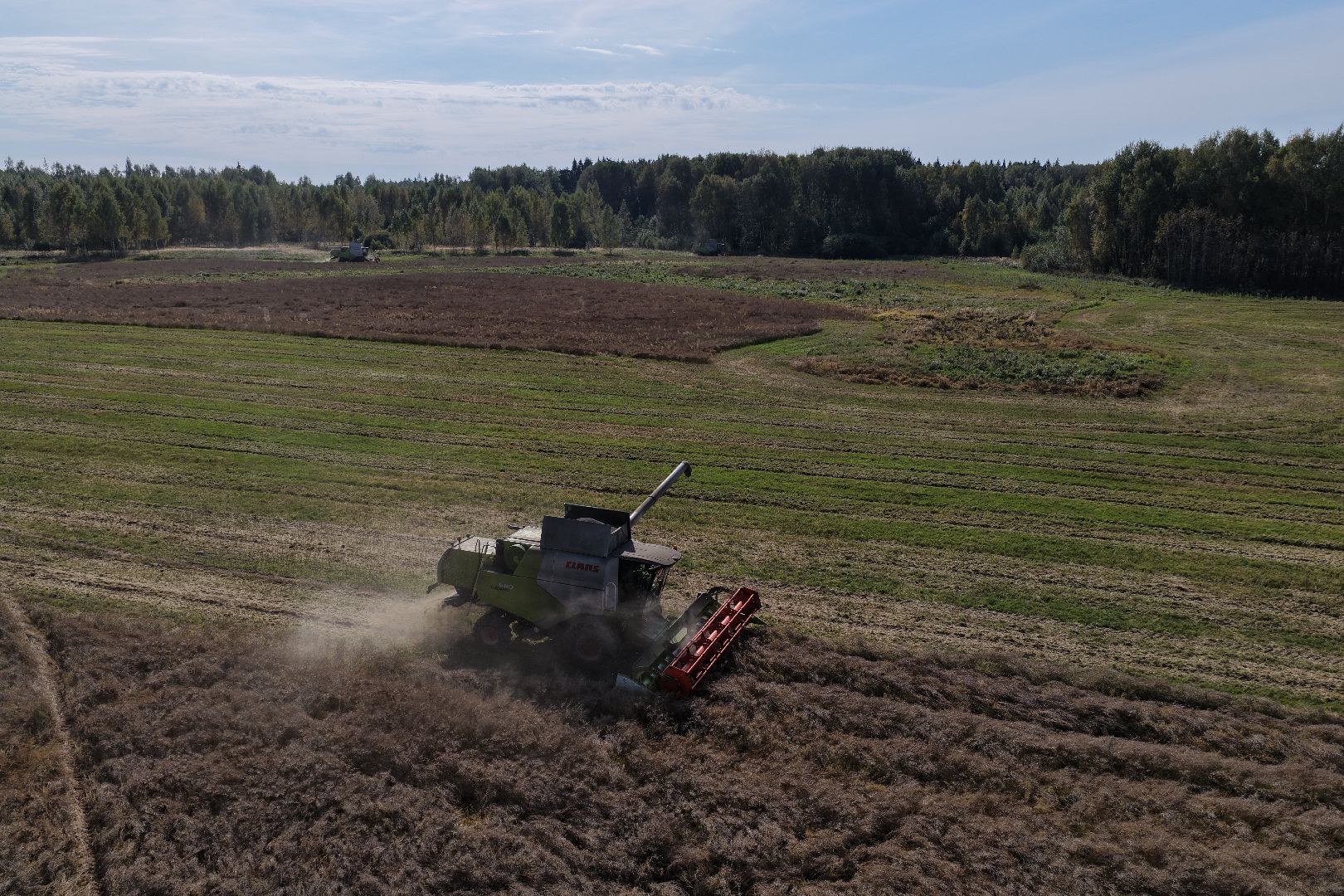 видео с коптера, сбор рапса, урожай 2025,