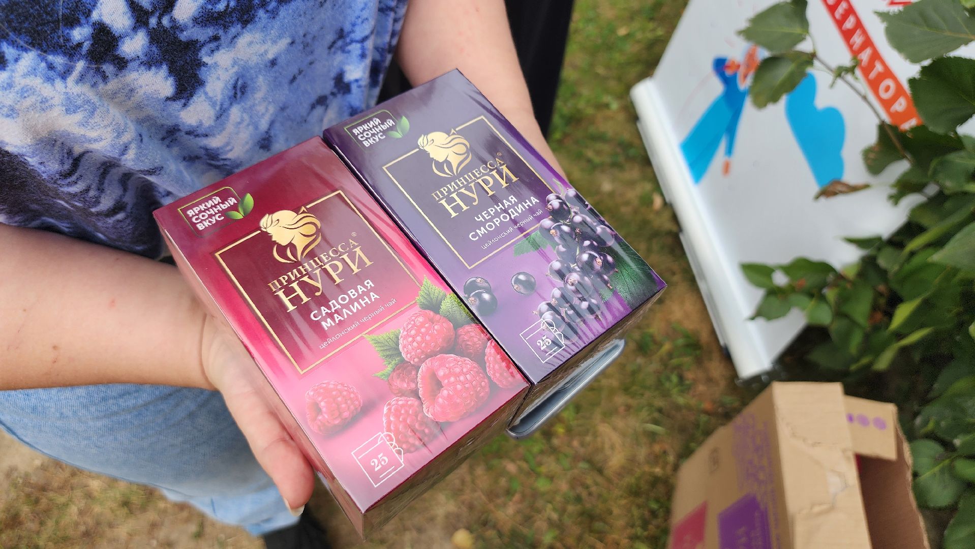 Люберцы, активное долголетие, пенсионеры,