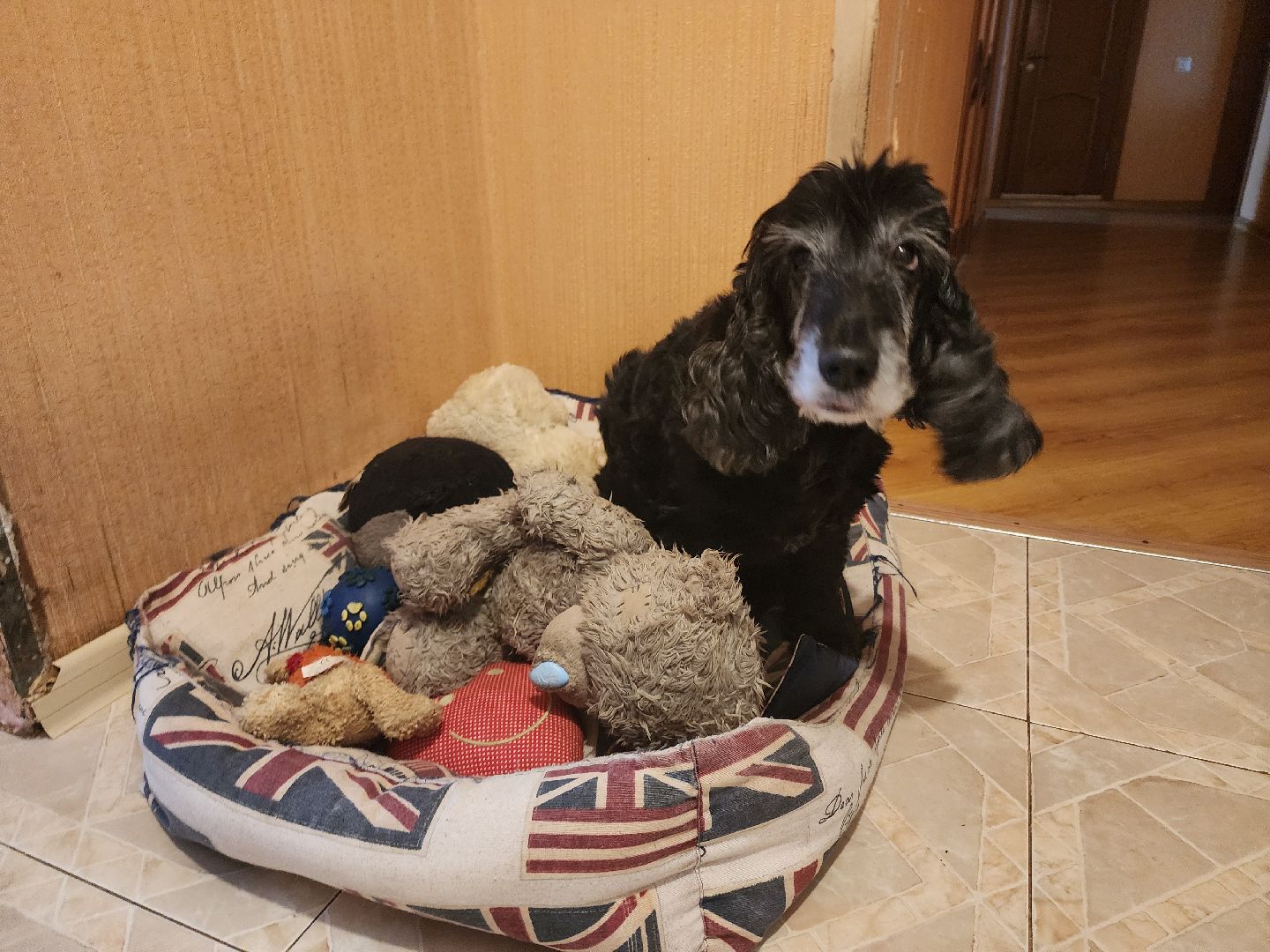 сво, помощь, одинцовский округ, сбор бойцам сво,