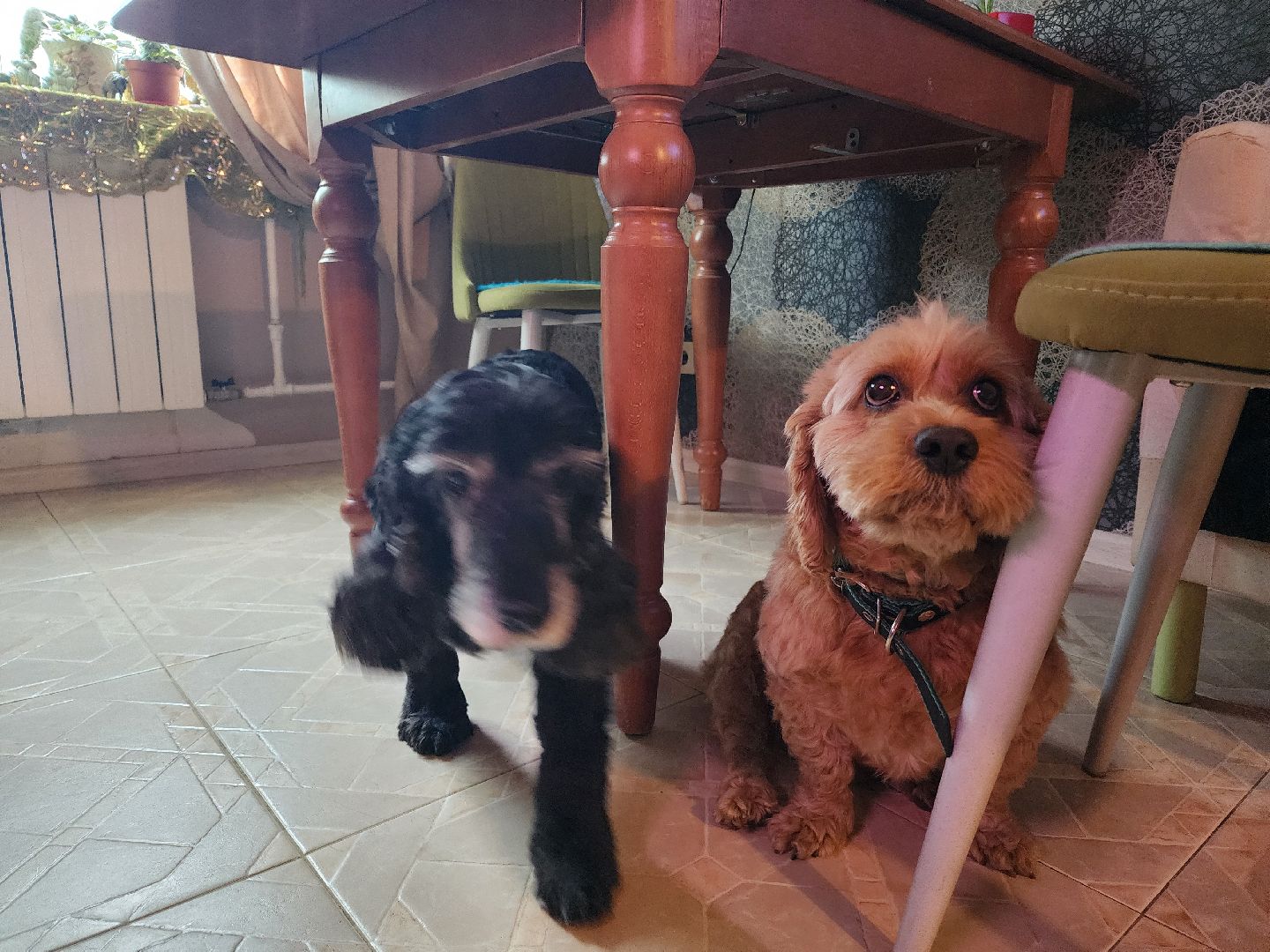 сво, помощь, одинцовский округ, сбор бойцам сво,