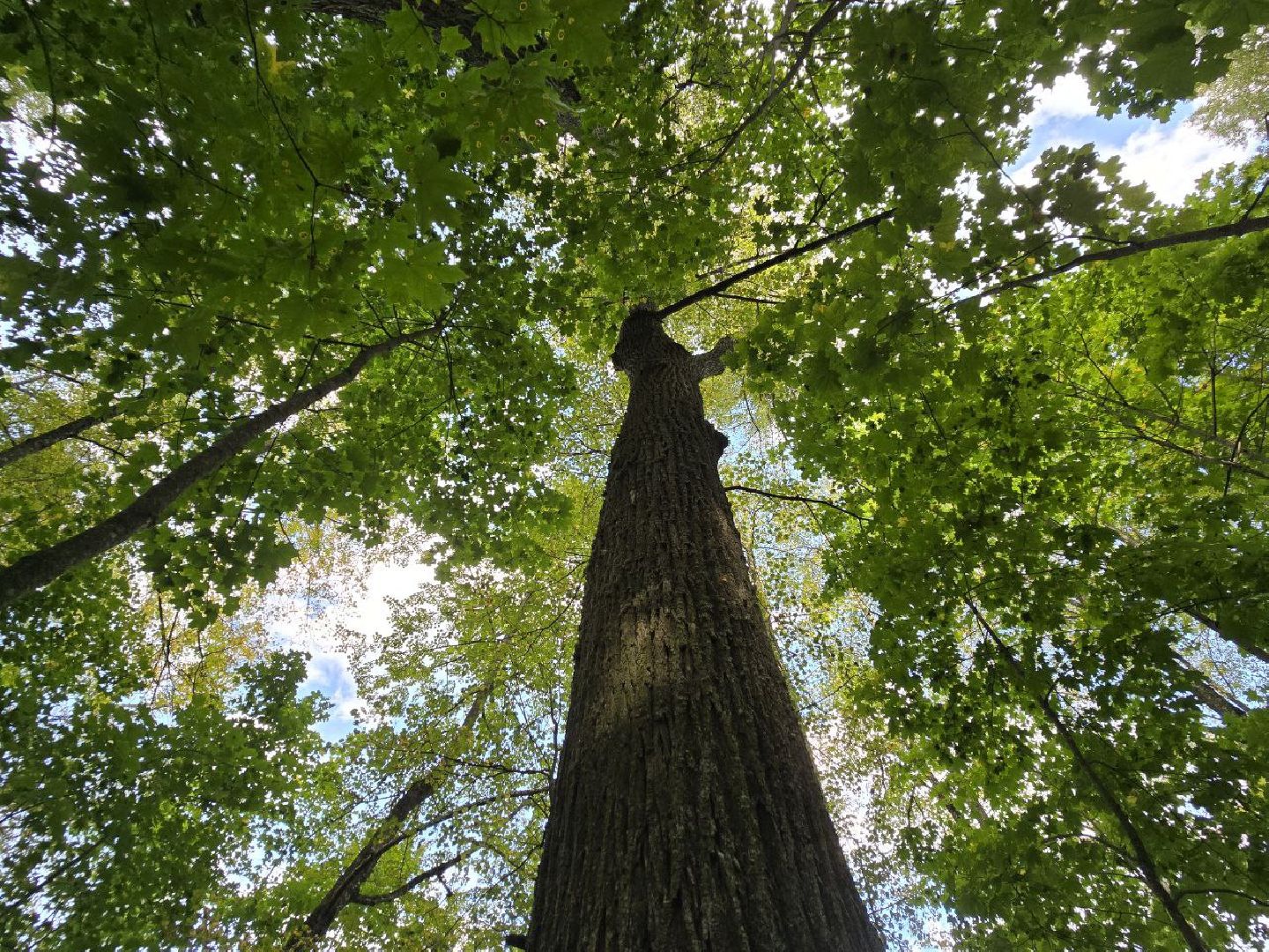 можайск, можайский муниципальный округ, подмосковье, история, немые свидетели войны, великая отечественная война,