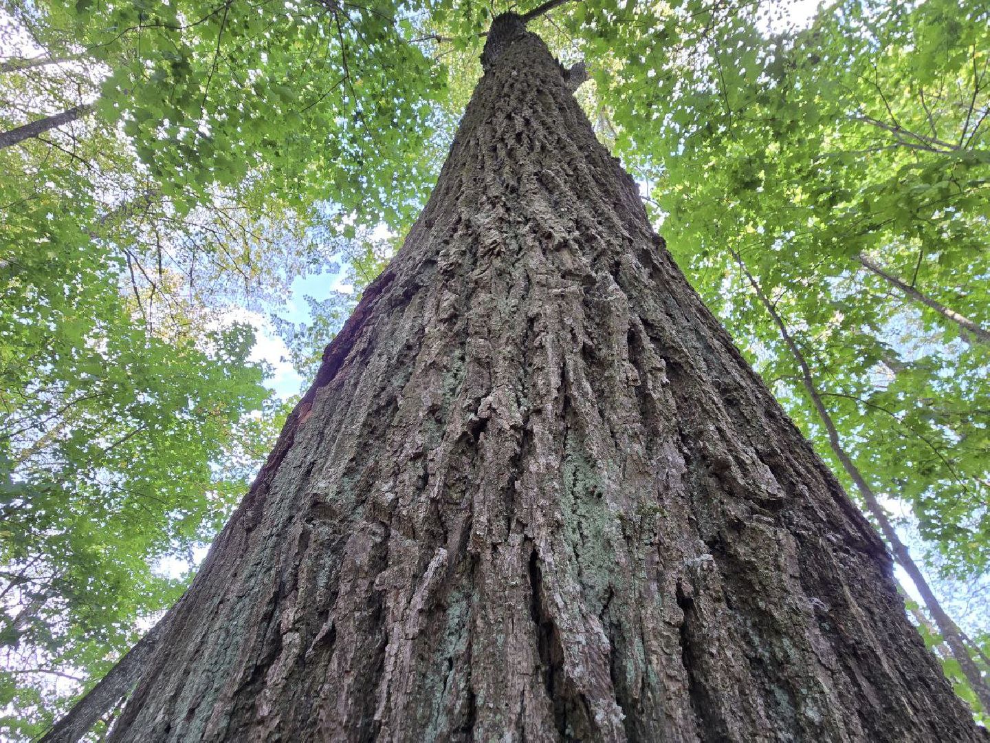 можайск, можайский муниципальный округ, подмосковье, история, немые свидетели войны, великая отечественная война,