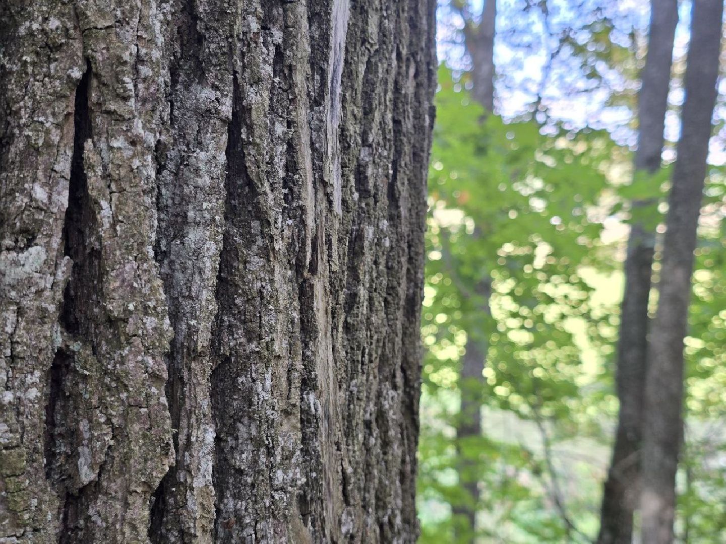 можайск, можайский муниципальный округ, подмосковье, история, немые свидетели войны, великая отечественная война,