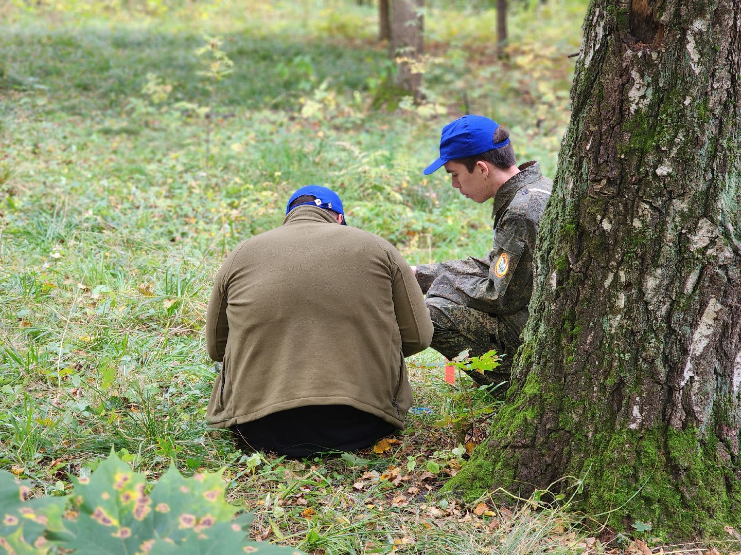 пушкинский городской округ, левково, лесничество, юные лесничие, всероссийский конкурс, лесное многоборье, юный лесовод, конкурс подрост, комитет лесного хозяйства, слет школьных лесничеств,оздоровительный центр левково,