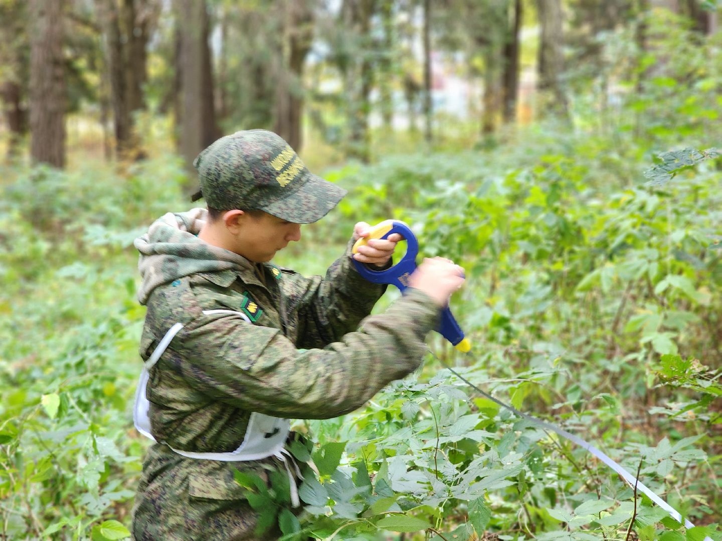 пушкинский городской округ, левково, лесничество, юные лесничие, всероссийский конкурс, лесное многоборье, юный лесовод, конкурс подрост, комитет лесного хозяйства, слет школьных лесничеств,оздоровительный центр левково,