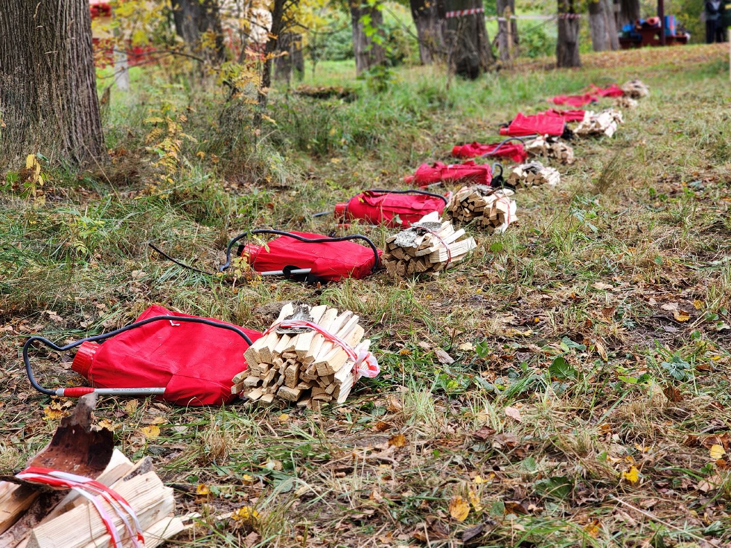 пушкинский городской округ, левково, лесничество, юные лесничие, всероссийский конкурс, лесное многоборье, юный лесовод, конкурс подрост, комитет лесного хозяйства, слет школьных лесничеств,оздоровительный центр левково,