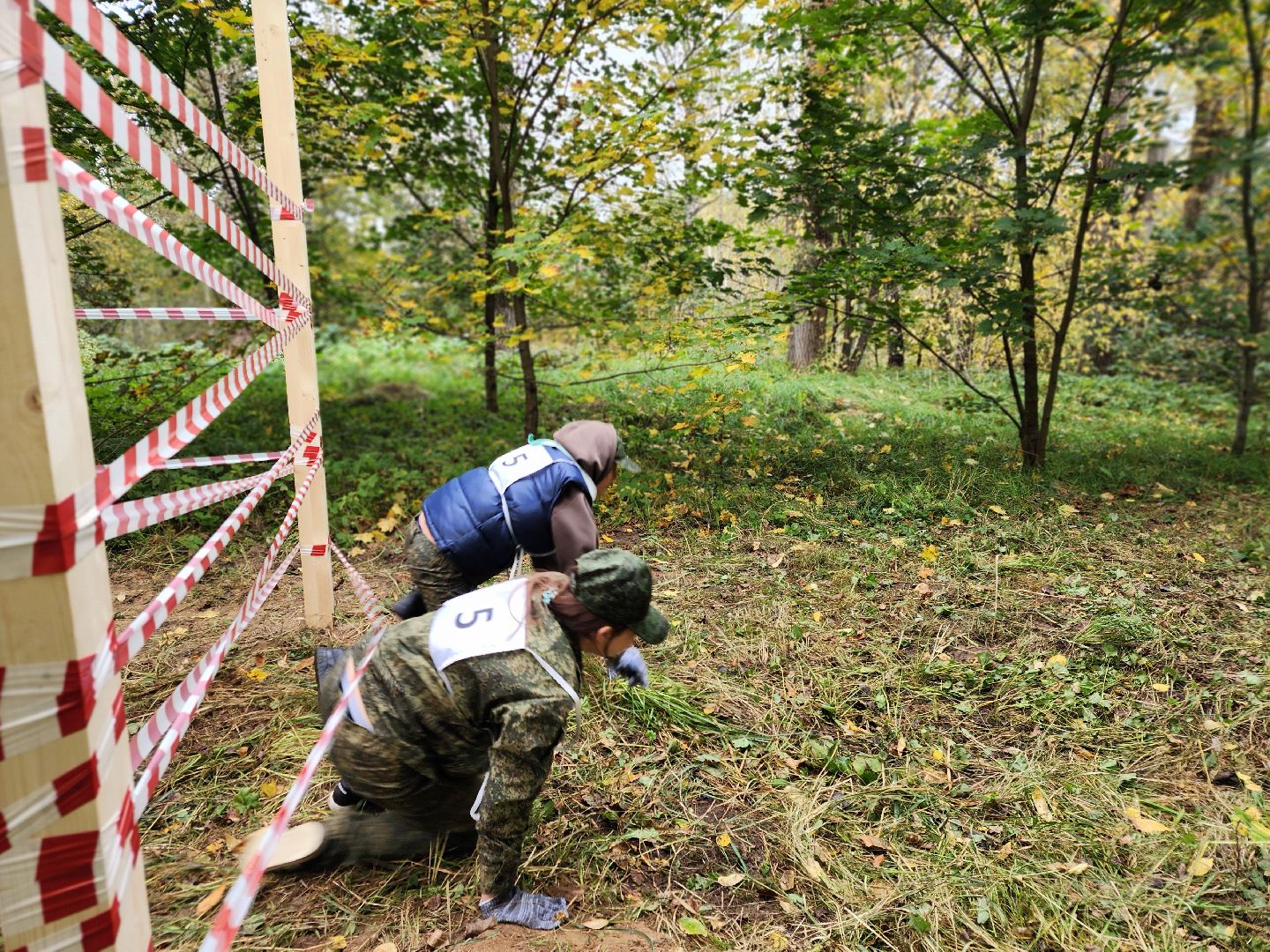 пушкинский городской округ, левково, лесничество, юные лесничие, всероссийский конкурс, лесное многоборье, юный лесовод, конкурс подрост, комитет лесного хозяйства, слет школьных лесничеств,оздоровительный центр левково,