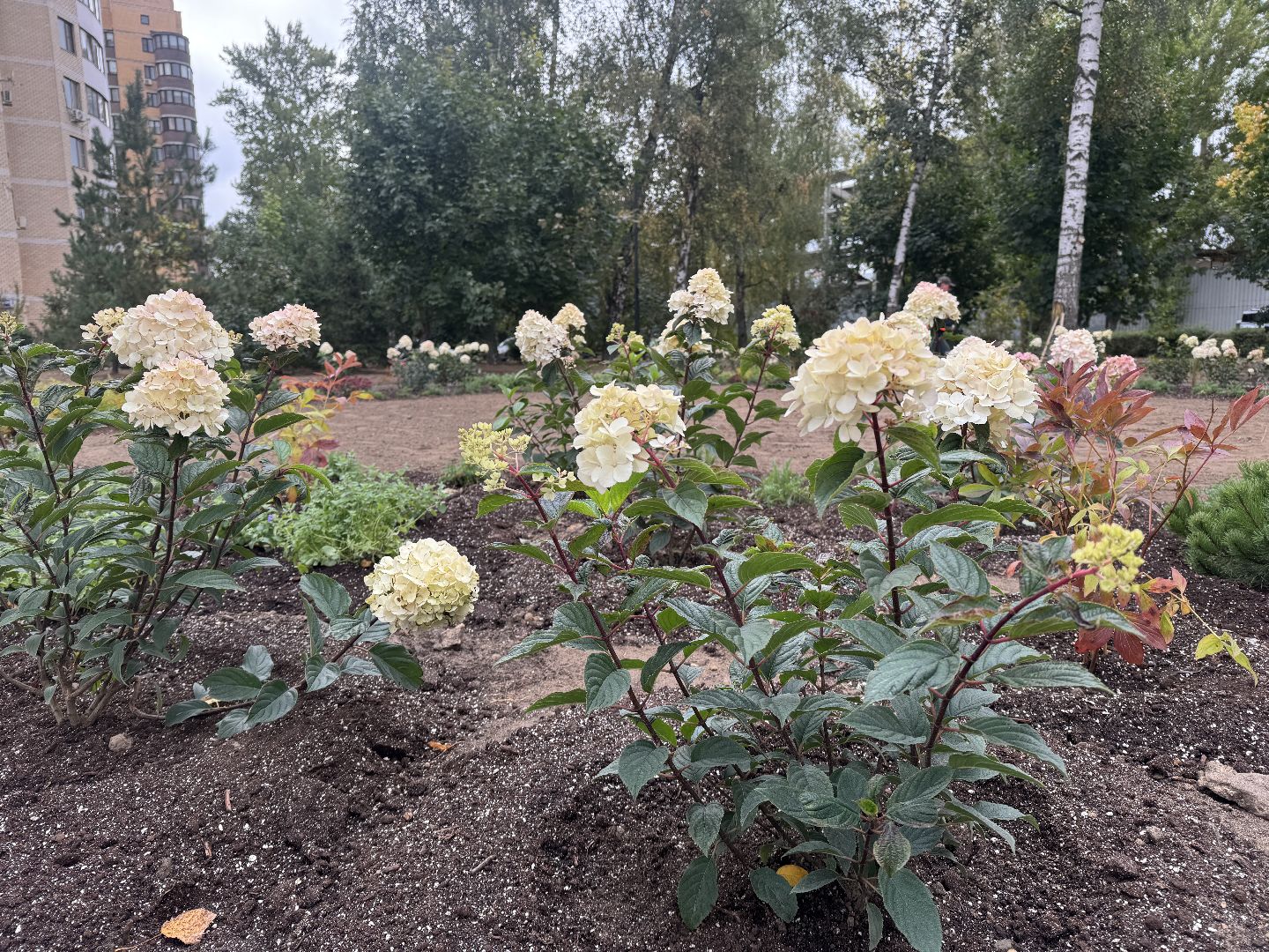 реутов, сквер, благоустройство, общественная территория, комфортная городская среда,