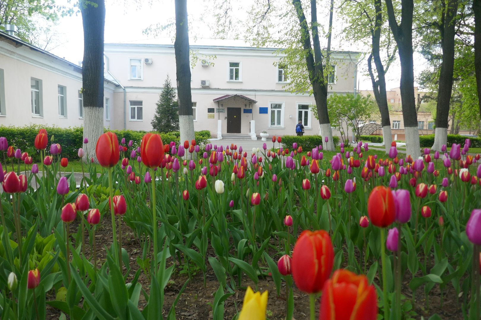 Подольск, ПОКБ, День Победы, Бессмертный полк