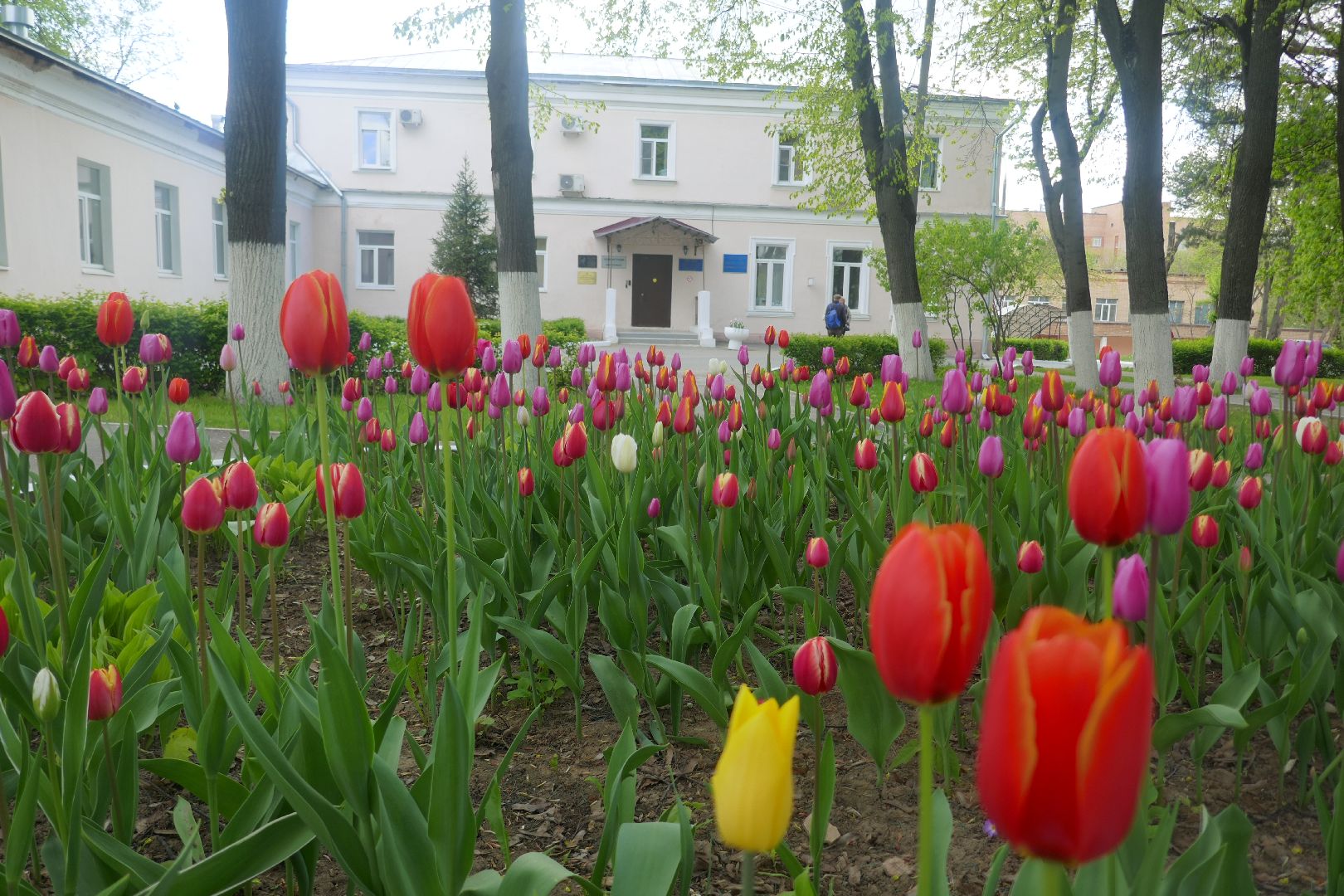 Подольск, ПОКБ, День Победы, Бессмертный полк