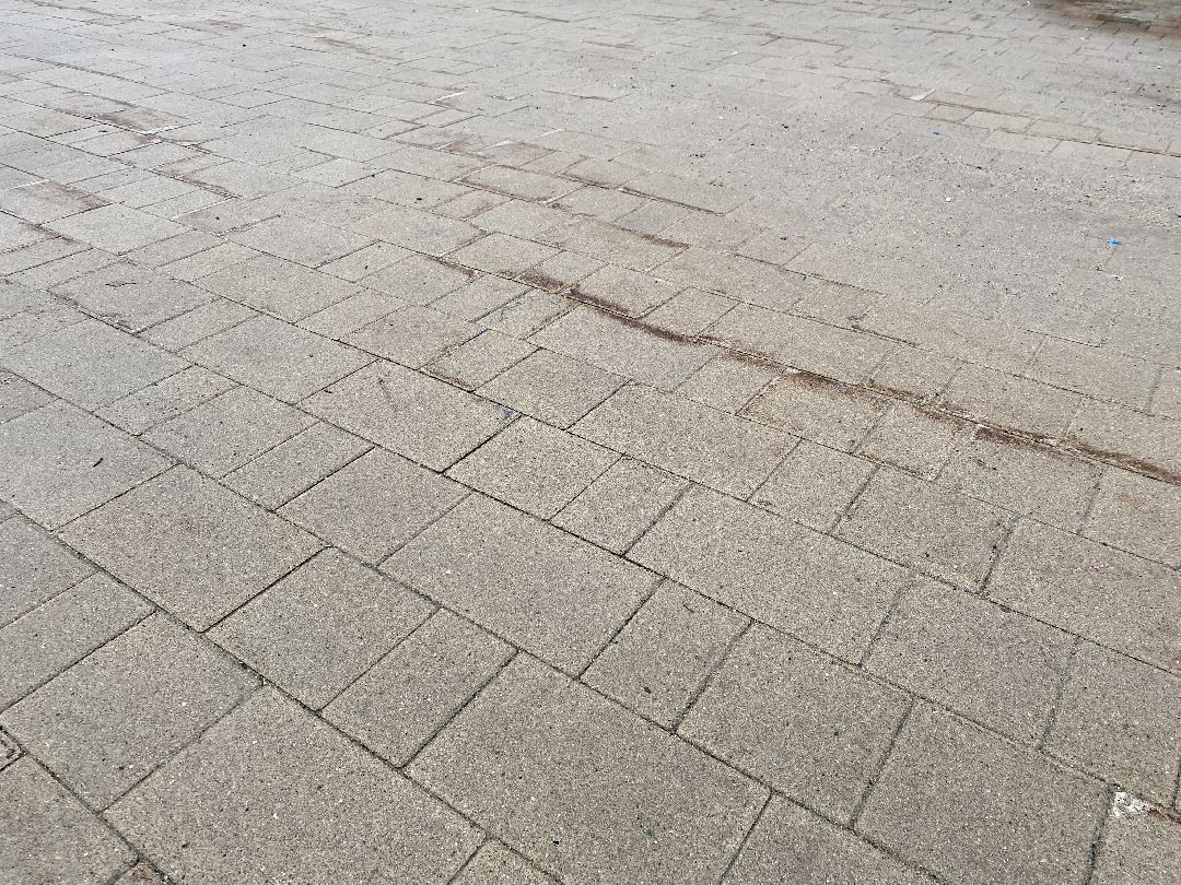 Клин, общество