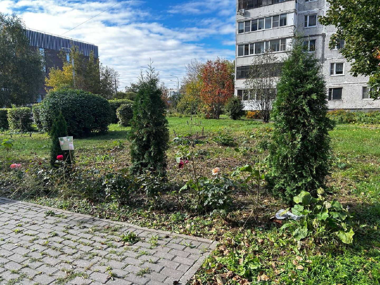 королёв, выездная администрация в королеве, диалог жителей и власти,