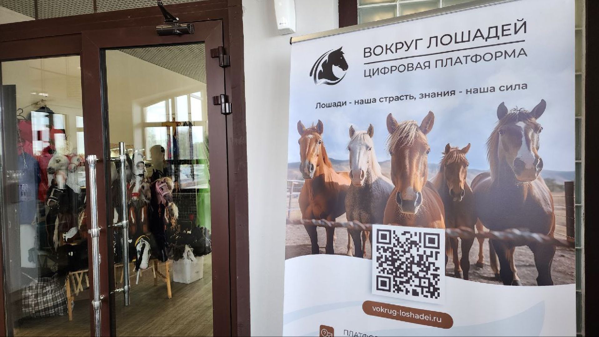 Дмитров, Максима Парк, Фестиваль Конная Россия, Минспорта,