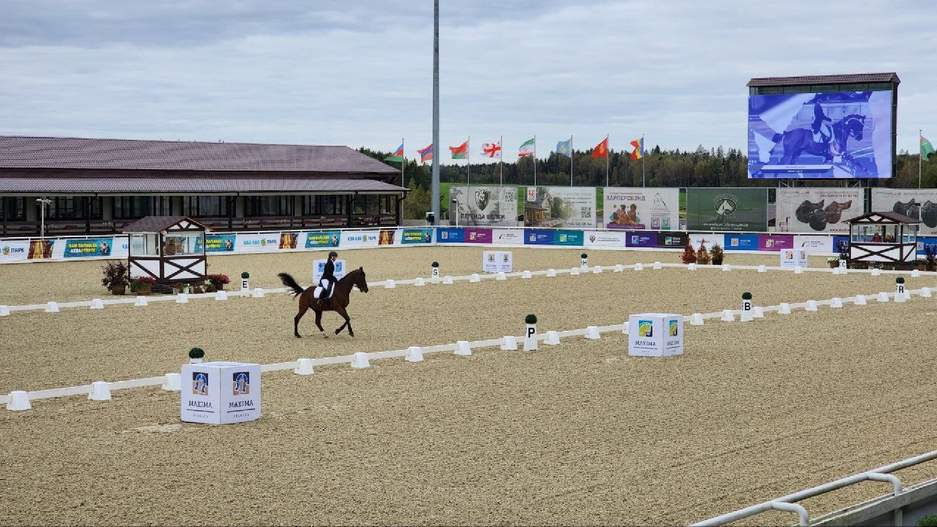 Дмитров, Максима Парк, Фестиваль Конная Россия, Минспорта,