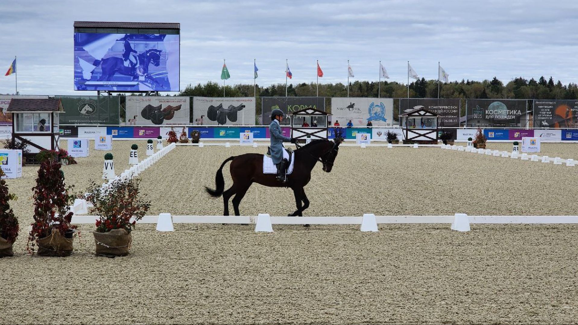 Дмитров, Максима Парк, Фестиваль Конная Россия, Минспорта,