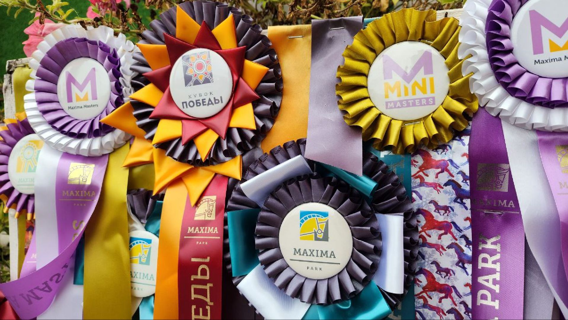 Дмитров, Максима Парк, Фестиваль Конная Россия, Минспорта,