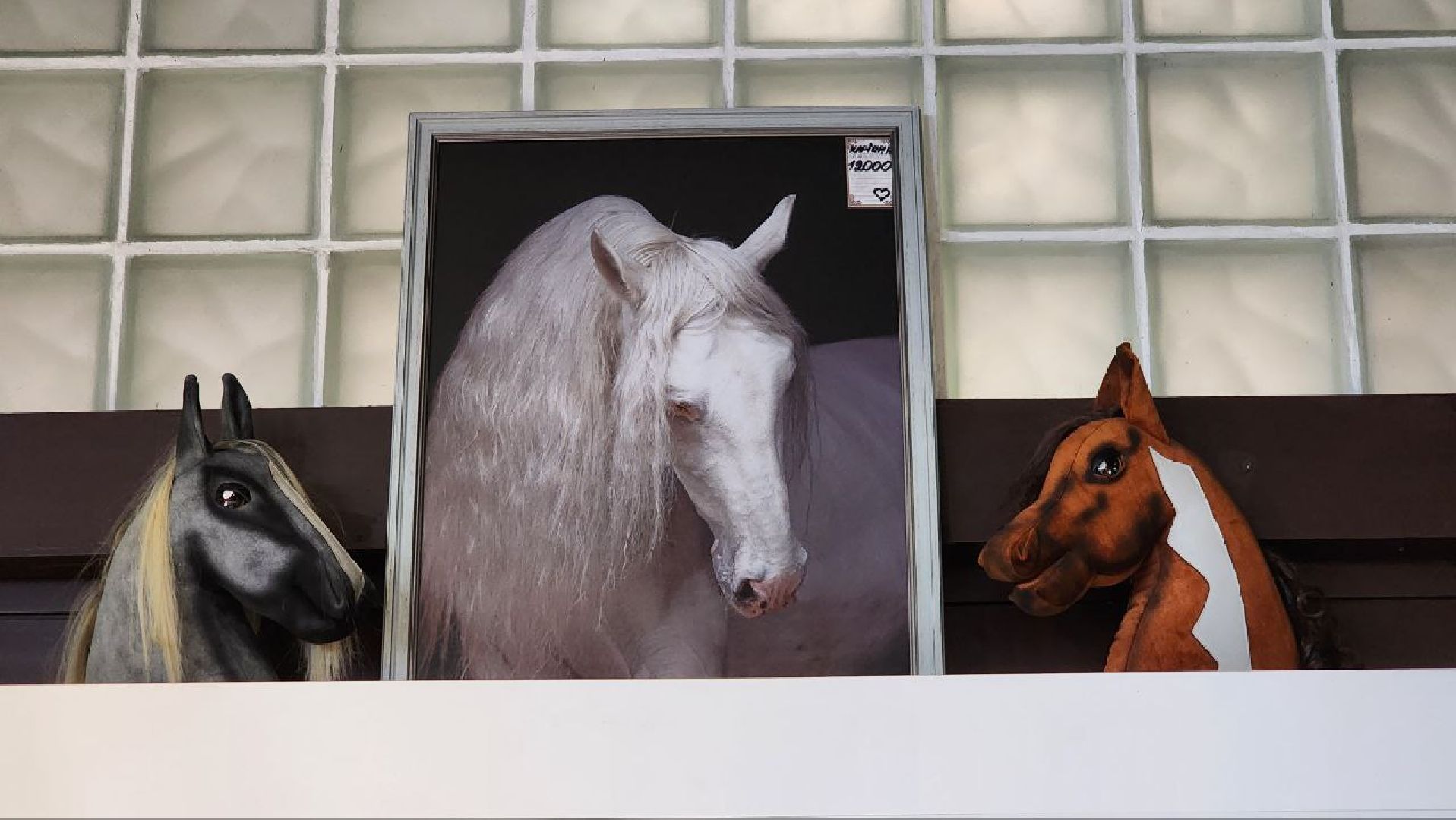 Дмитров, Максима Парк, Фестиваль Конная Россия, Минспорта,