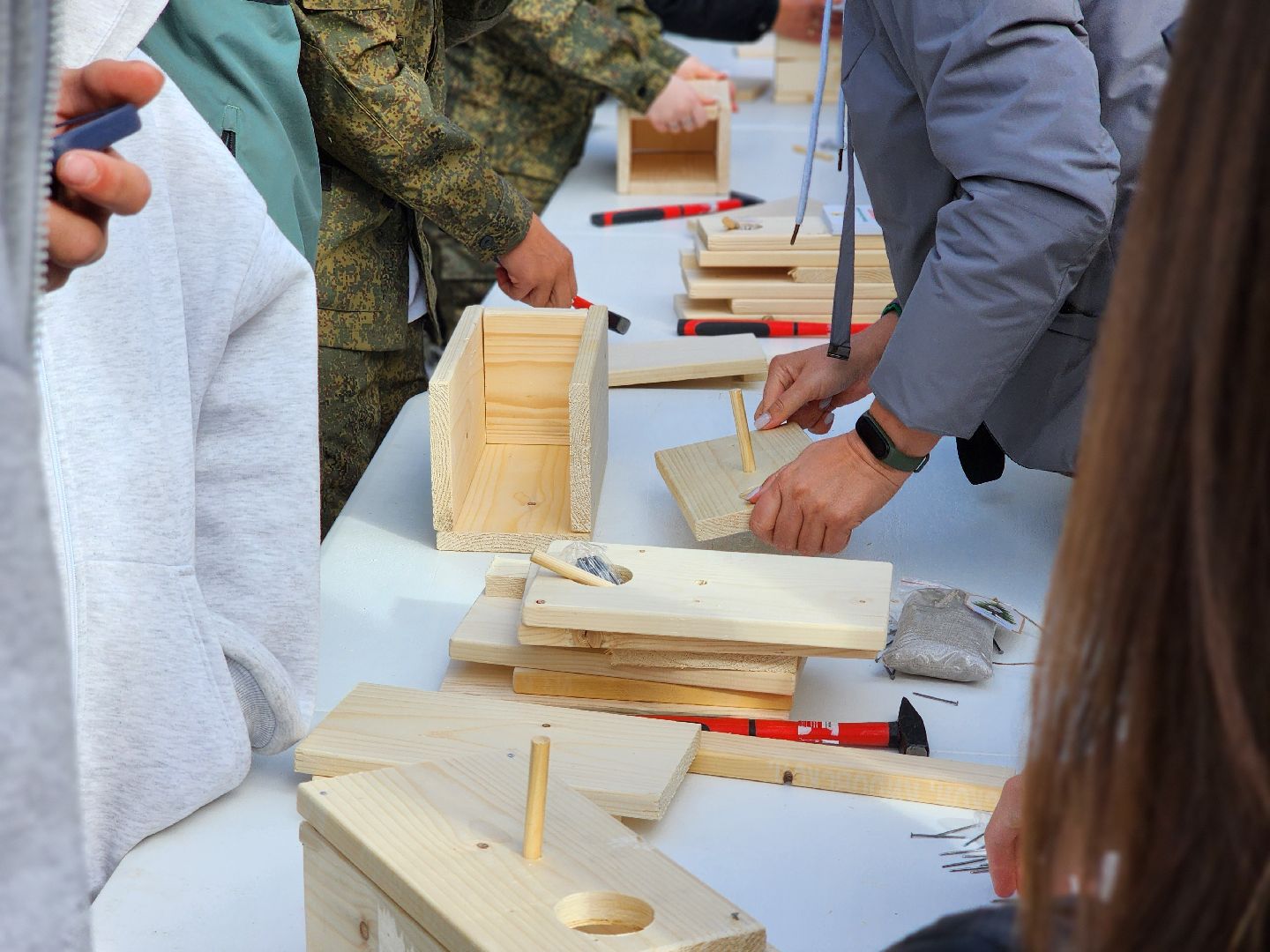 пушкинский городской округ, юные лесничие, юный лесовод, конкурс подрост, алексей ларькин, комитет лесного хозяйства, лесничества московской области, школьные лесничества, оздоровительный комплекс левково, лесничий, лесники, всероссийский конкурс, лесное многоборье,