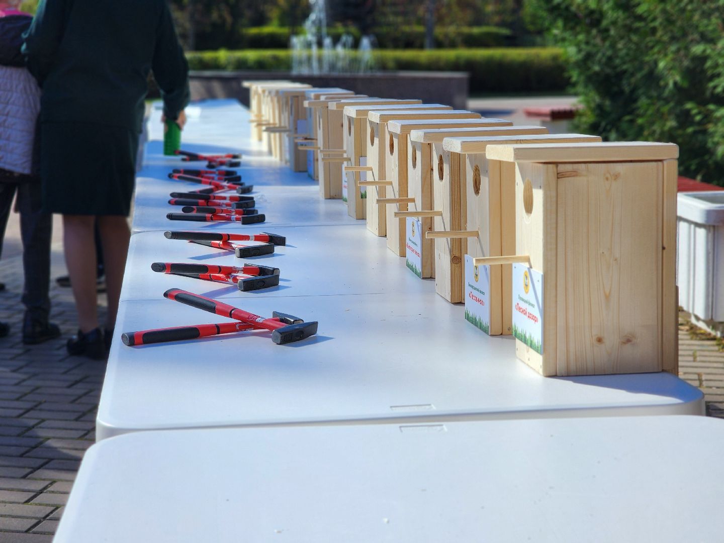 пушкинский городской округ, юные лесничие, юный лесовод, конкурс подрост, алексей ларькин, комитет лесного хозяйства, лесничества московской области, школьные лесничества, оздоровительный комплекс левково, лесничий, лесники, всероссийский конкурс, лесное многоборье,