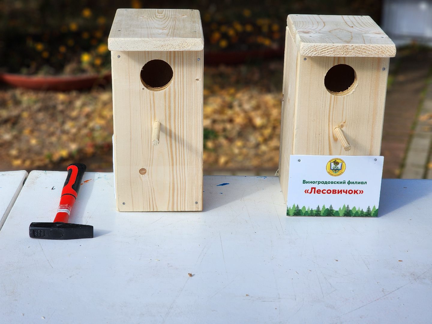 пушкинский городской округ, юные лесничие, юный лесовод, конкурс подрост, алексей ларькин, комитет лесного хозяйства, лесничества московской области, школьные лесничества, оздоровительный комплекс левково, лесничий, лесники, всероссийский конкурс, лесное многоборье,