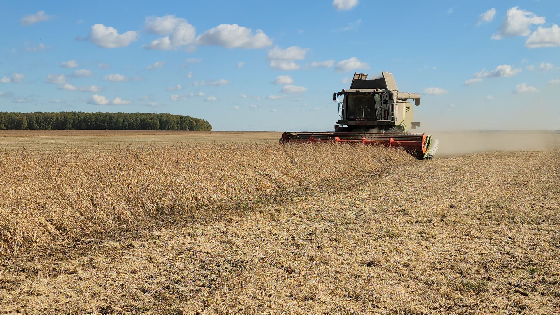 луховицы, сельское хозяйство, уборка сои, туламашагро,