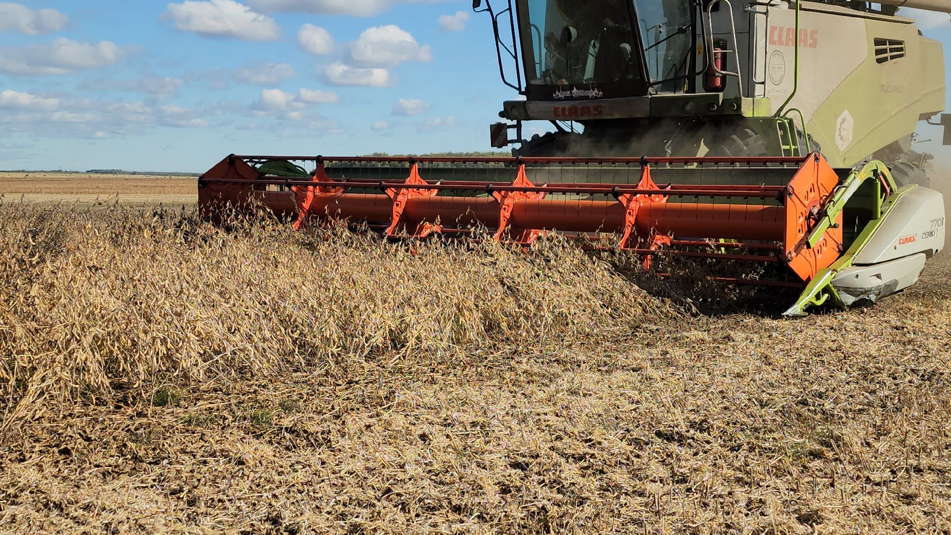 луховицы, сельское хозяйство, уборка сои, туламашагро,