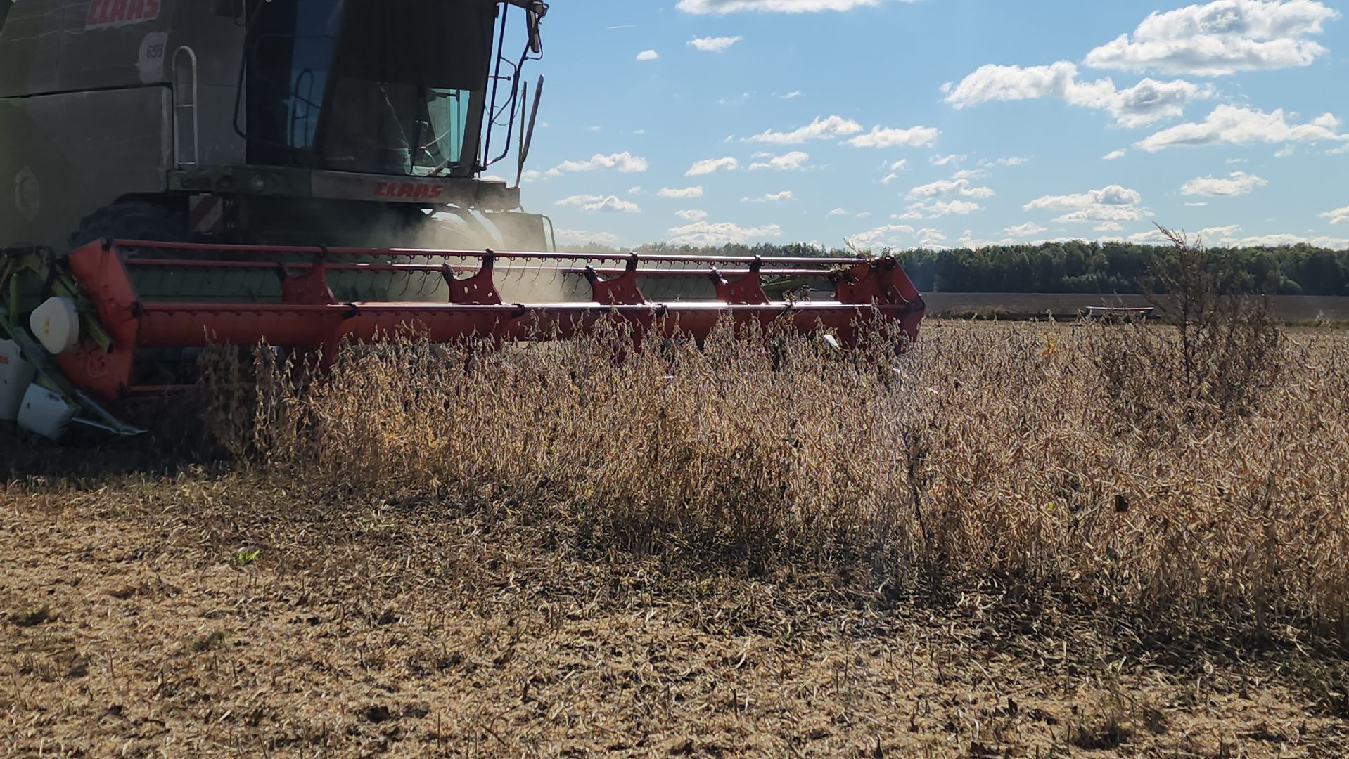 луховицы, сельское хозяйство, уборка сои, туламашагро,