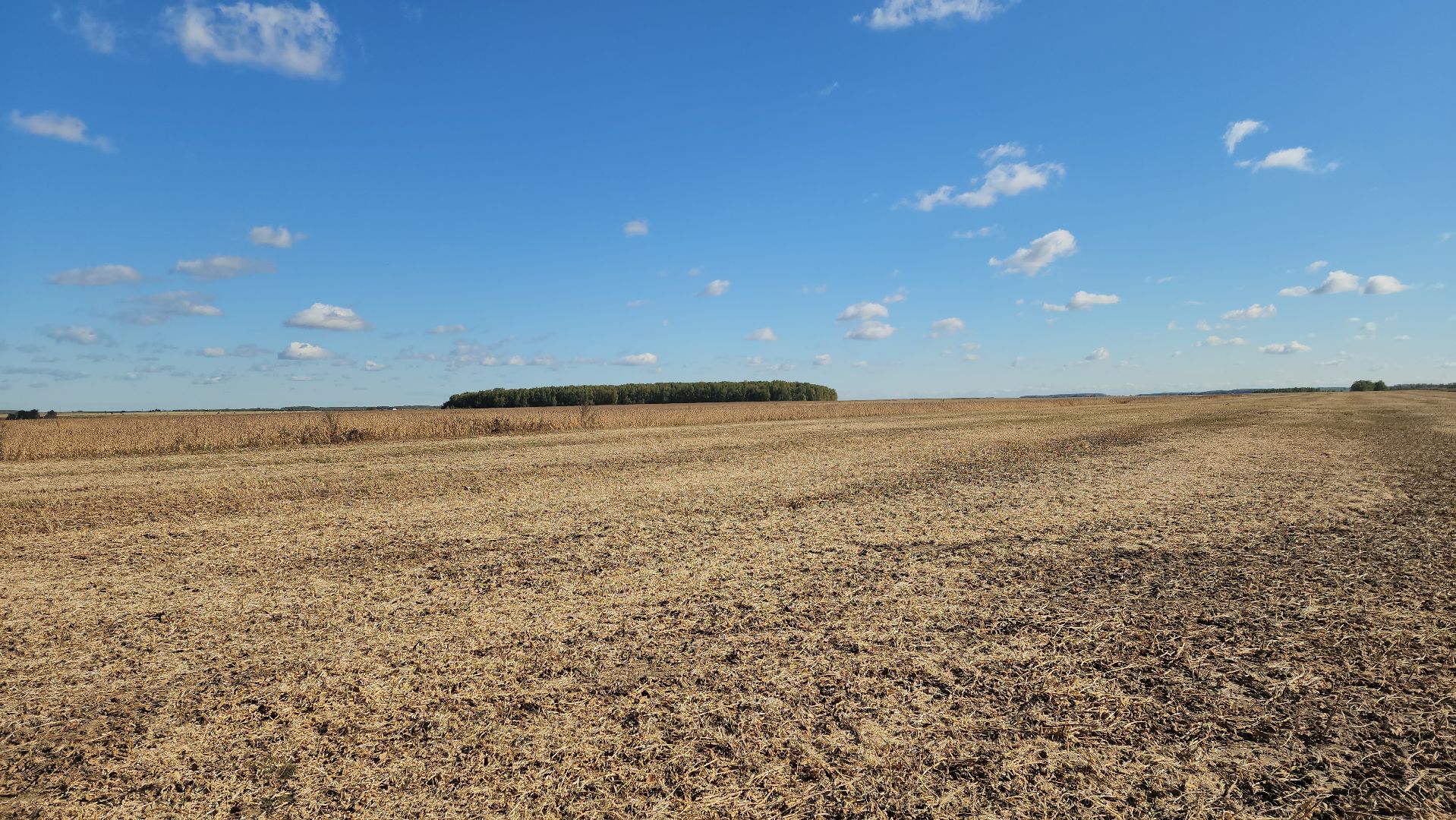 луховицы, сельское хозяйство, уборка сои, туламашагро,