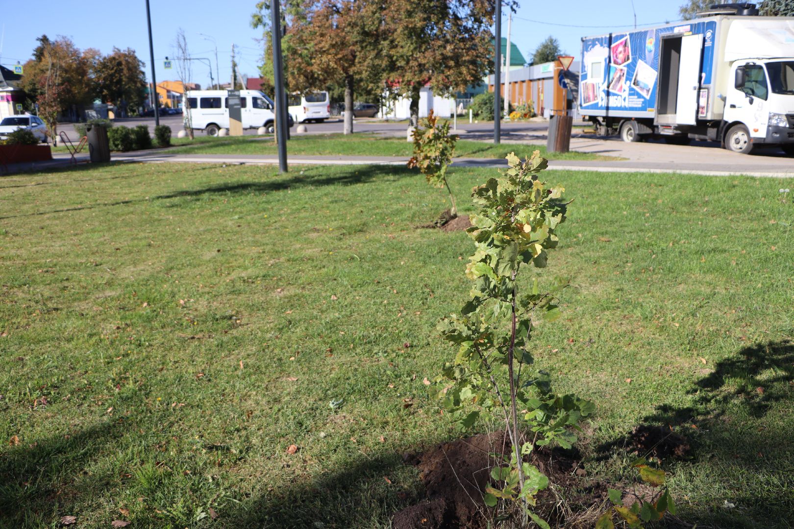 серебряные пруды, день в лесу, сквер ленина,