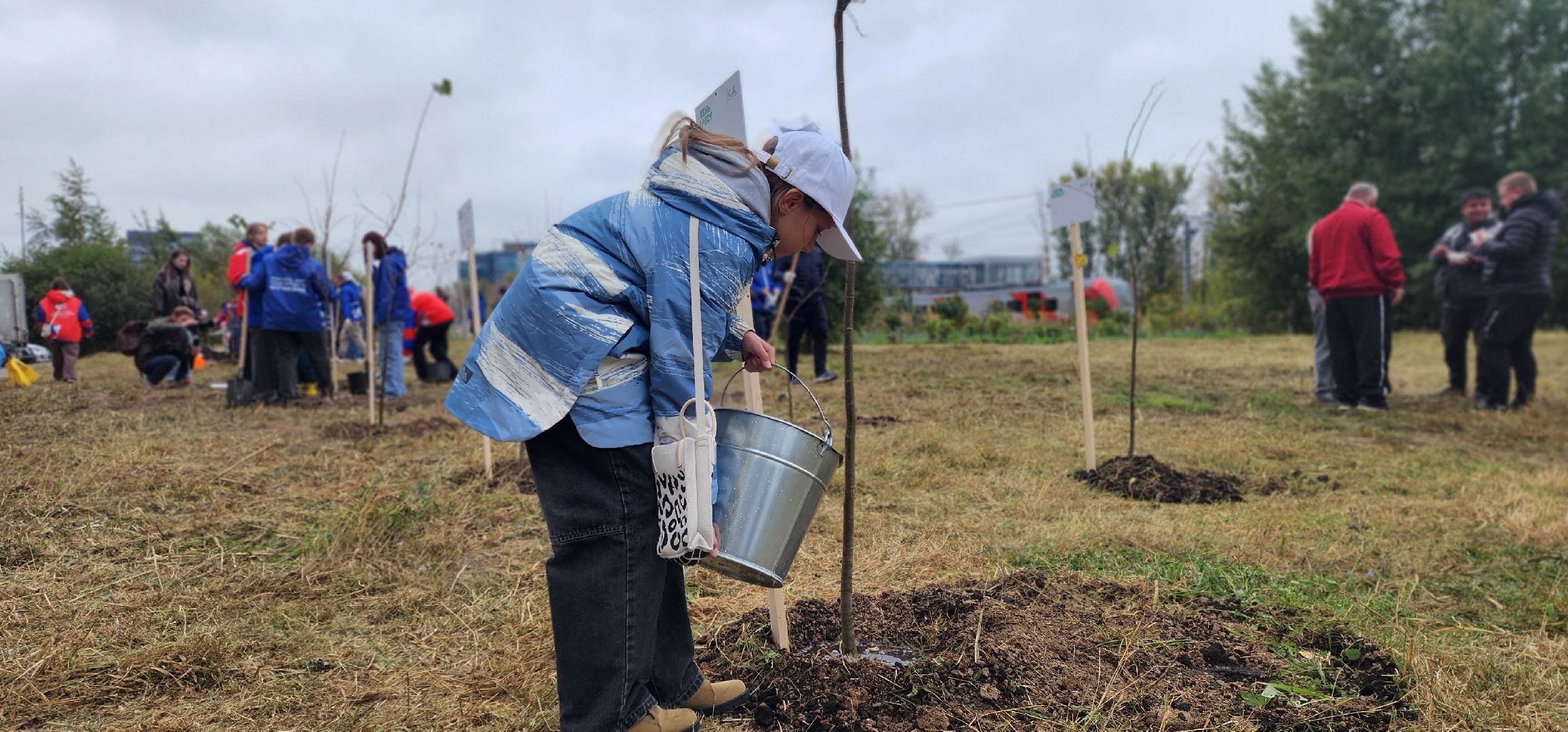 Химки, Экология , высадка деревьев,