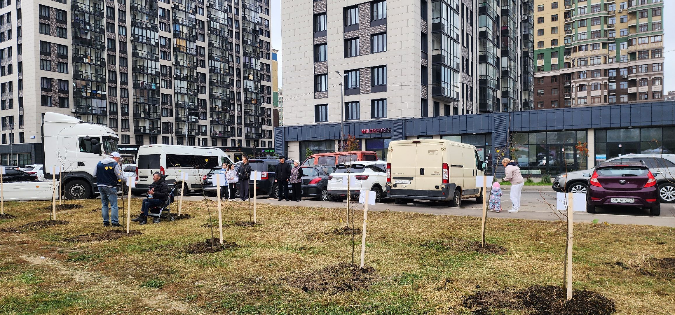 Химки, Экология , высадка деревьев,