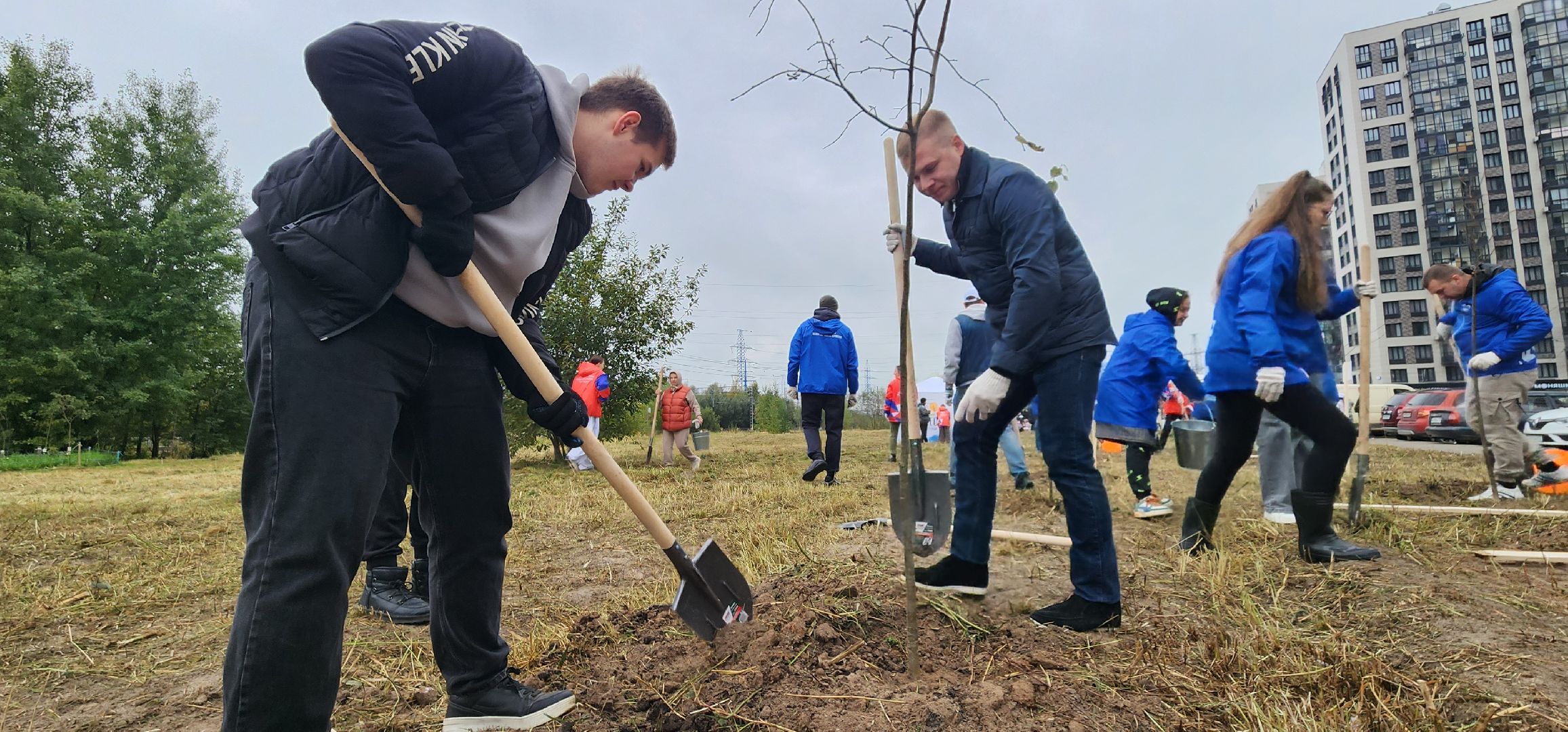 Химки, Экология , высадка деревьев,